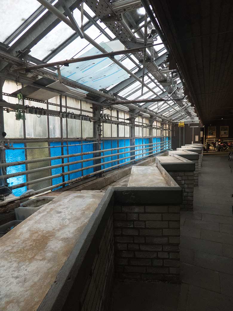 Umbauarbeiten der gesamten rechten Seite im Aquarium am 25. Oktober 2019 im Zoologischen Garten Wuppertal