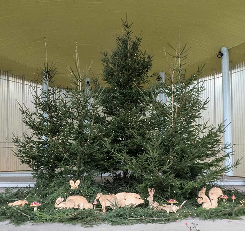 Advents-Schmuck am 30. November 2019 in der Musikmuschel im Grünen Zoo Wuppertal