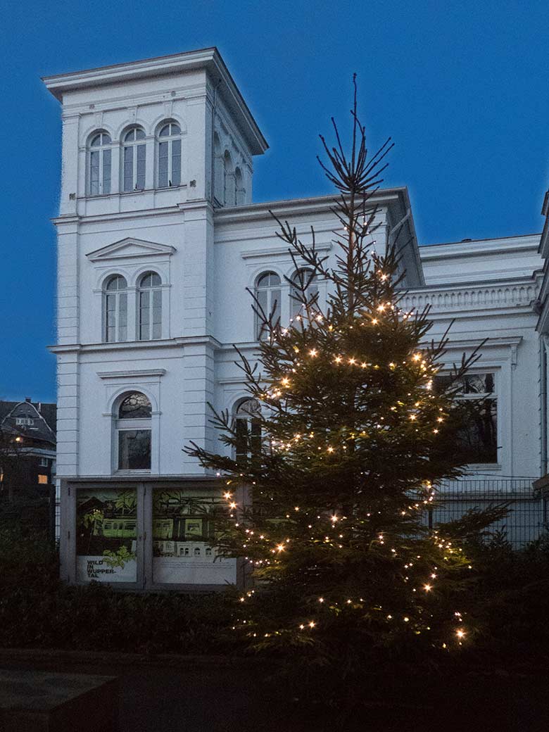 Weihnachtsbaum im Dezember 2019 vor dem ehemaligen Restaurationsgebäude im Grünen Zoo Wuppertal