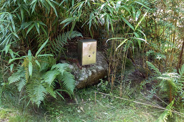 Installierte WDR-Kamera in einem Metall-Kasten auf der Außenanlage der Orang-Utans am 12. August 2020 im Wuppertaler Zoo