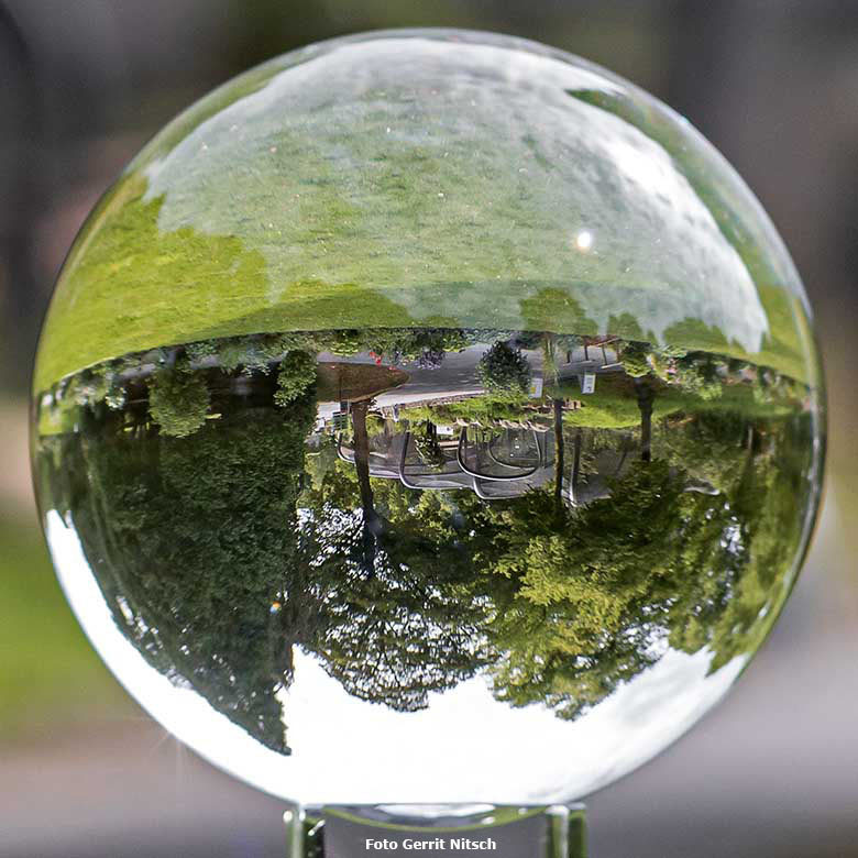 Blick durch die Glaskugel am 14. August 2020 auf ARALANDIA im Zoologischen Garten der Stadt Wuppertal (Foto Gerrit Nitsch)