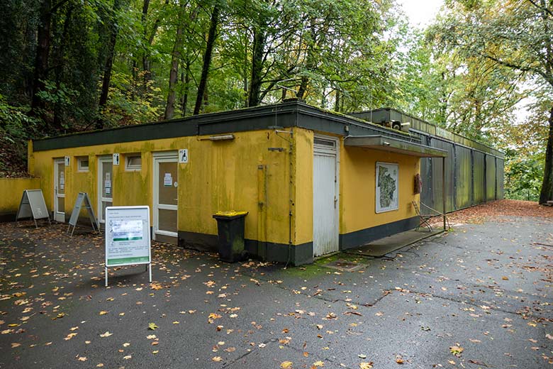 Regentropfen am 27. September 2020, auf einem Blatt am Kunstfelsen der Außenanlage der Afrikanischen Löwen im Grünen Zoo Wuppertal
