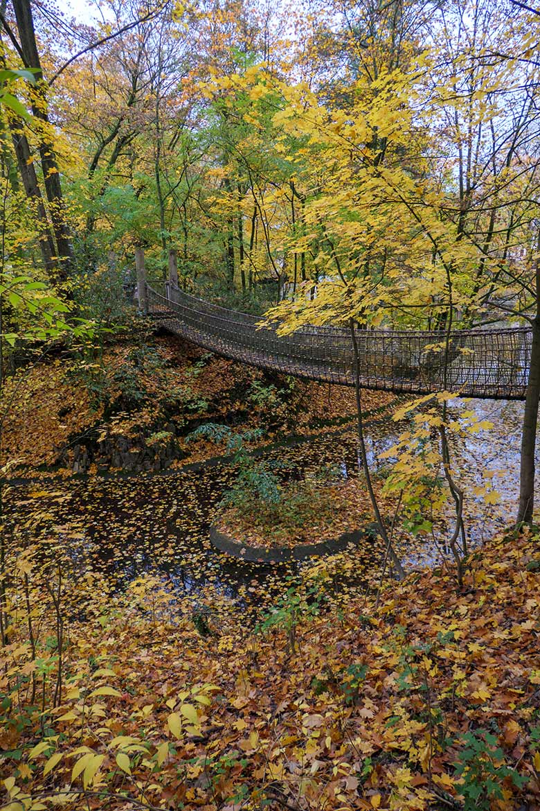 Herbstlaub am 24. Oktober 2020 bei der Hängebrücke am Großen Teich im Wuppertaler Zoo