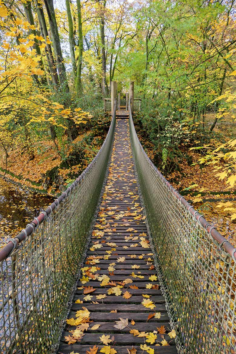 Hängebrücke am 26. Oktober 2020 am Großen Teich im Grünen Zoo Wuppertal