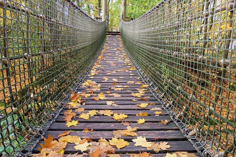Hängebrücke am 26. Oktober 2020 am Großen Teich im Zoologischen Garten Wuppertal