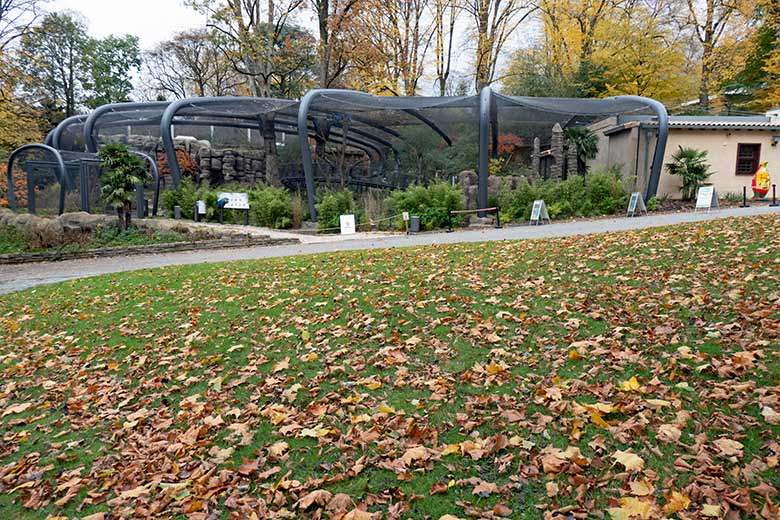 Freiflugvoliere ARALANDIA am 27. Oktober 2020 im Grünen Zoo Wuppertal
