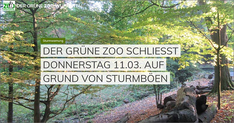 Screenshot der Microsite der Stadt Wuppertal "www.zoo-wuppertal.de" vom 11. März 2021: Der Grüne Zoo schließt am Donnerstag 11.03.2021 auf Grund von Sturmböen