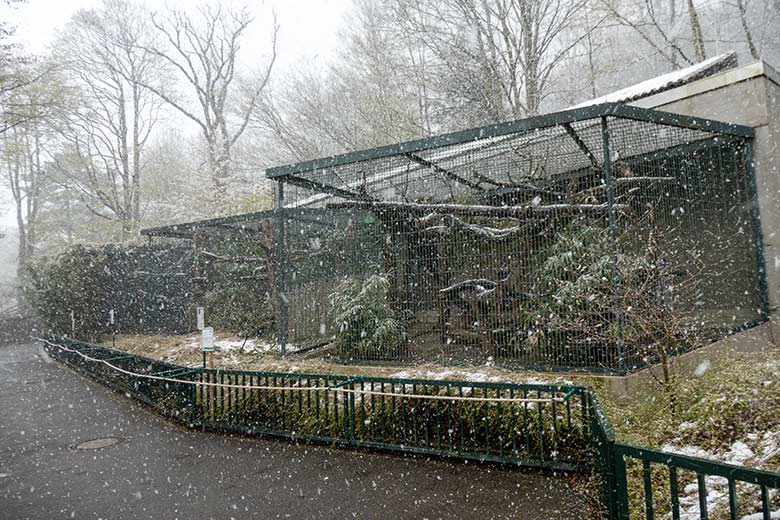 Außenanlagen am Großkatzen-Haus im Schneetreiben am 6. April 2021 im Grünen Zoo Wuppertal