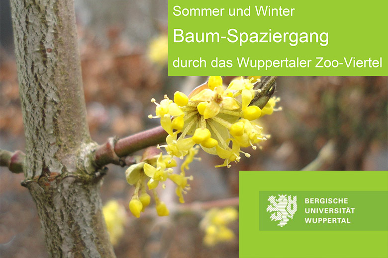 Broschüre Bergische Universität Wuppertal Sommer und Winter Baum-Spaziergang durch das Wuppertaler Zoo-Viertel (Herausgeberin Bergische Universität Wuppertal)