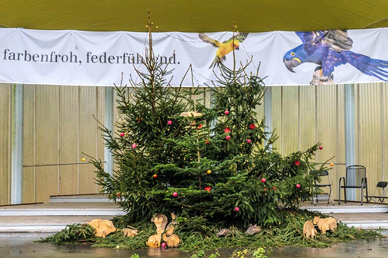 Weihnachtsbäume am 24. Dezember 2021 in der Musik-Muschel am Blumen-Rondell im Wuppertaler Zoo