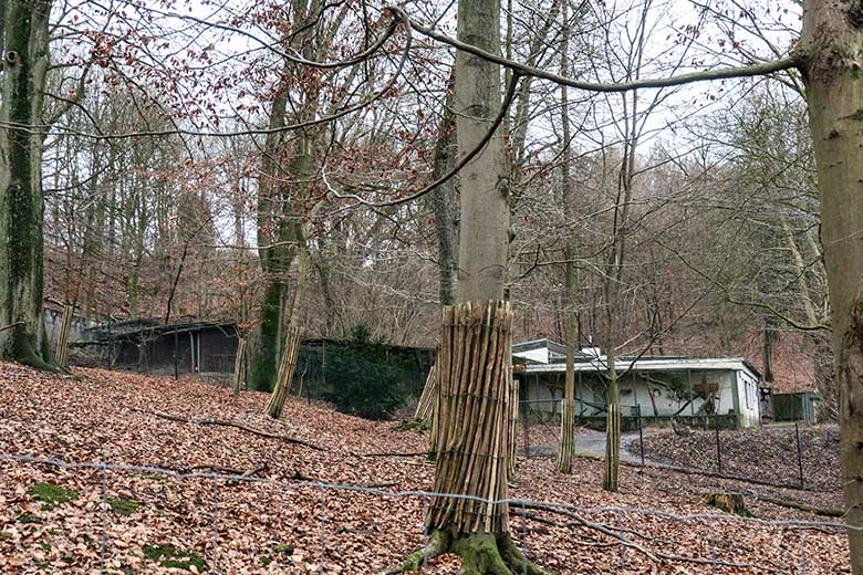 Blick auf die Gebäude des ehemaligen Max-Planck-Institut am 3. Januar 2022 im Grünen Zoo Wuppertal