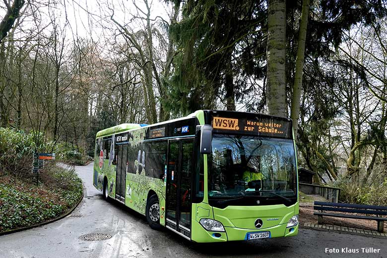 Linienbus der WSW Wuppertaler Stadtwerke mit Werbung für den Grünen Zoo Wuppertal am 2. Februar 2022 auf einem Besucher-Weg im Zoologischen Garten Wuppertal (Foto Klaus Tüller)
