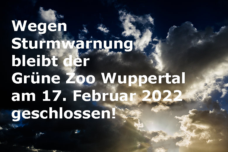 Wolkenhimmel am 17. Februar 2022 über Wuppertal