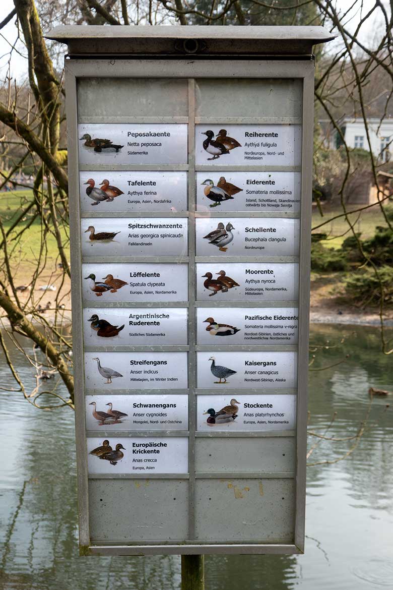 Wassergeflügel-Ausschilderung am 16. März 2022 am Kleinen Teich für Wassergeflügel im Grünen Zoo Wuppertal
