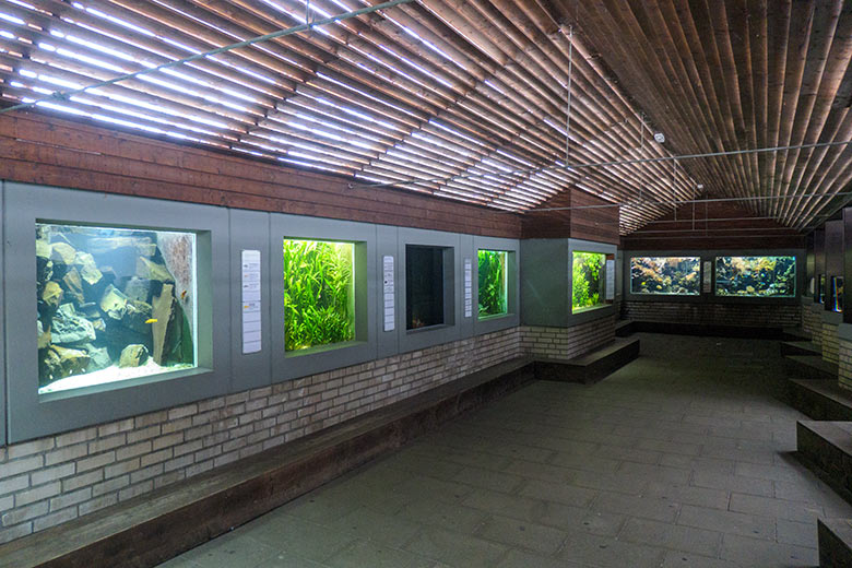 Aquarium am 29. April 2022 im Grünen Zoo Wuppertal