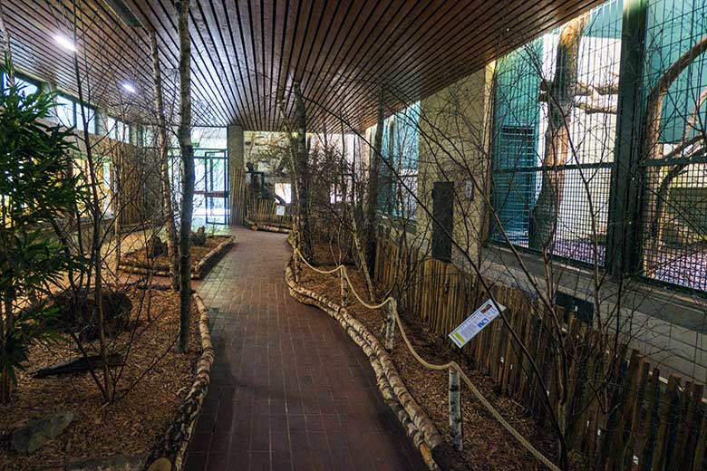 Innenbereich im Großkatzen-Haus auf der Terrarium-Seite am 29. August 2022 im Zoologischen Garten Wuppertal