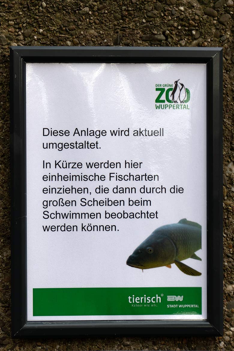Aushang an der zukünftigen Anlage für einheimische Fischarten am 15. November 2022 im Grünen Zoo Wuppertal