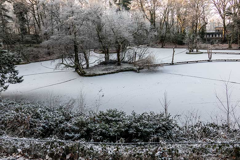 Großer Teich bei großer Kälte am 17. Dezember 2022 im Grünen Zoo Wuppertal