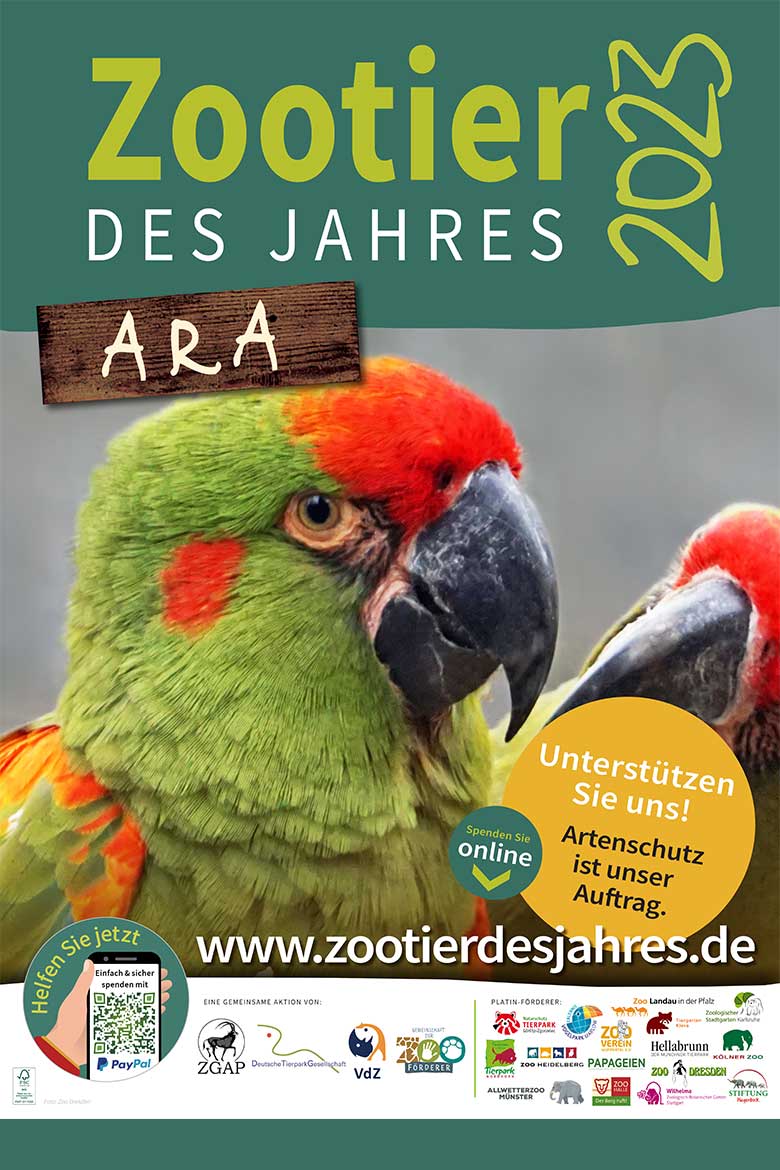 Plakat Zootier des Jahres 2023 Ara (Pressebild Der Grüne Zoo Wuppertal)
