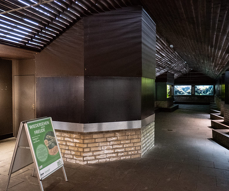 Mit Holzplatten kaschiertes Achteckbecken am 3. Februar 2023 im Eingangsbereich des Aquariums im Grünen Zoo Wuppertal