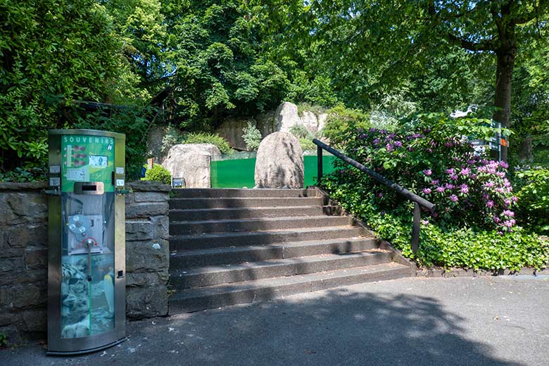 Nicht wirklich befahrbare Treppe zwischen Brillenpinguin-Anlage und Seelöwen-Becken am 10. Juni 2023 im Wuppertaler Zoo