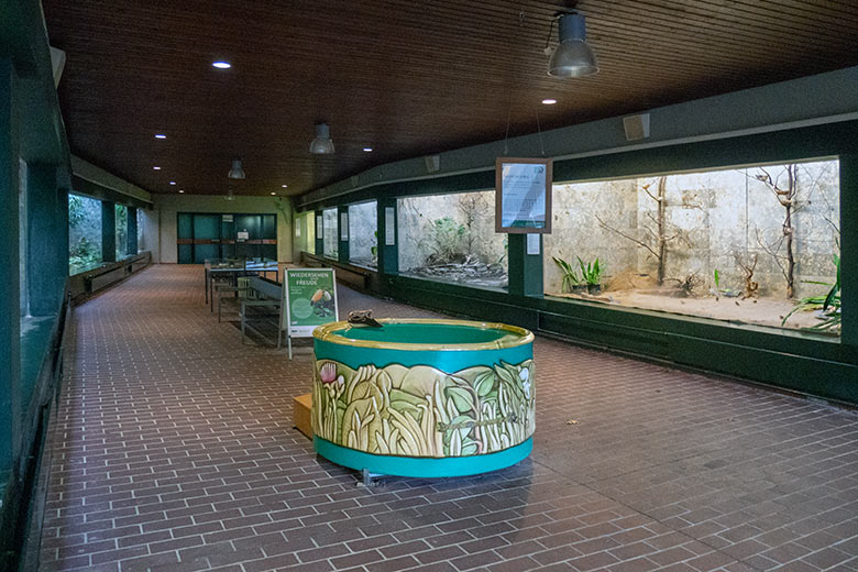 Innenbereich im Vogel-Haus am 12. Dezember 2023 im Grünen Zoo Wuppertal