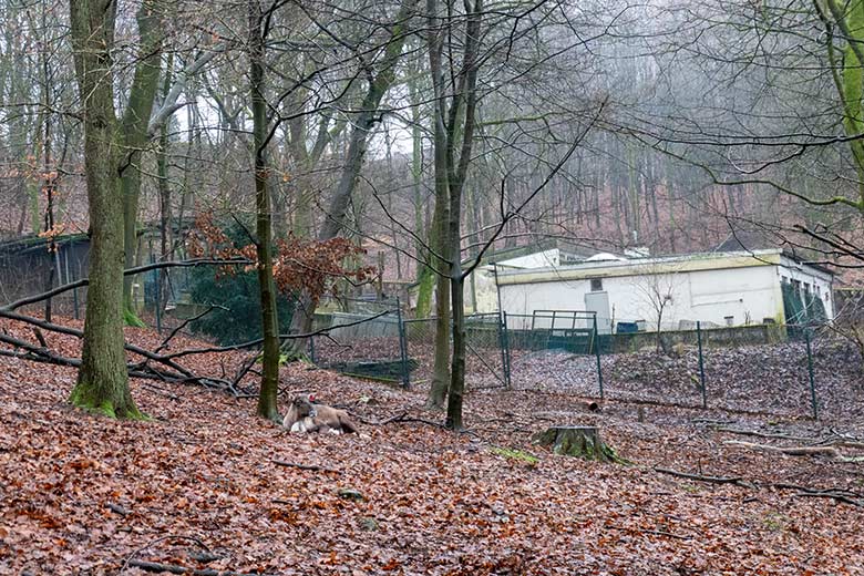 Blick auf die Gebäude des ehemaligen Max-Planck-Institut am 13. Januar 2024 im Wuppertaler Zoo