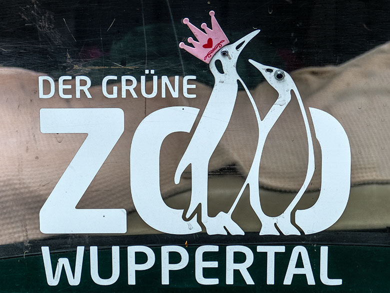 Königspinguin mit Krone auf dem Logo Der Grüne Zoo Wuppertal am 21. Mai 2024 auf einem Fahrzeug des Tierpflege-Teams