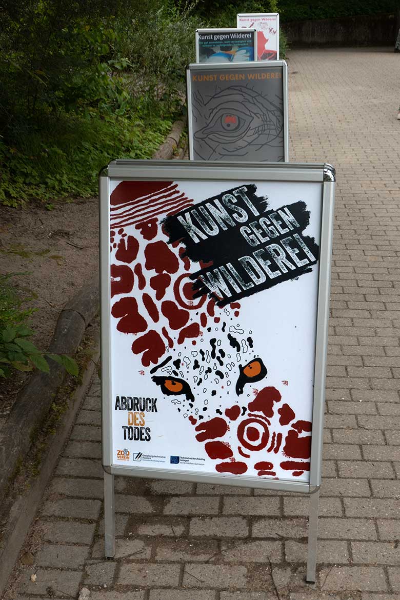 Ausstellung der Plakate 'Kunst gegen Wilderei' von Schülerinnen und Schülern des Technischen Berufskollegs Solingen am 18. Juni 2024 vor dem Menschenaffen-Haus im Grünen Zoo Wuppertal