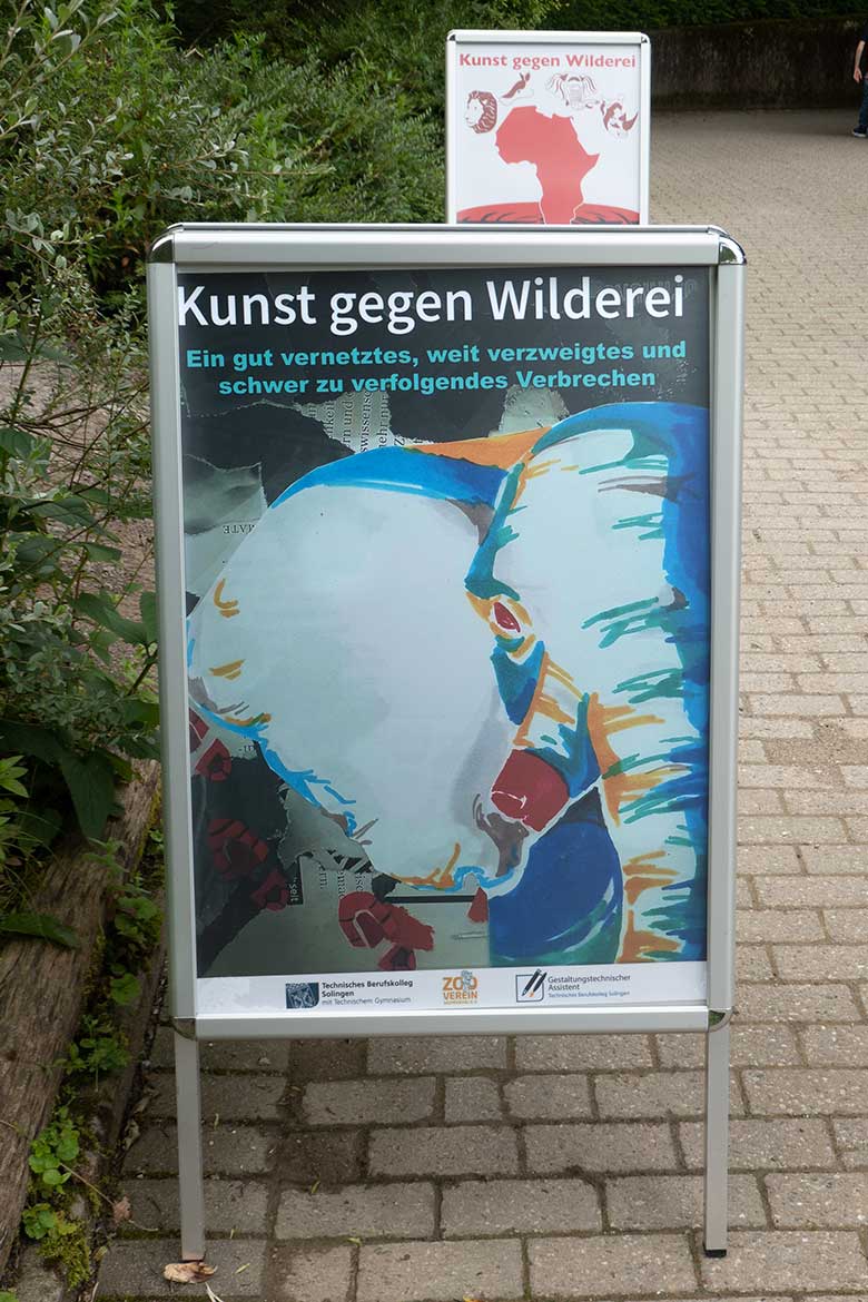 Ausstellung der Plakate 'Kunst gegen Wilderei' von Schülerinnen und Schülern des Technischen Berufskollegs Solingen am 18. Juni 2024 vor dem Menschenaffen-Haus im Zoologischen Garten Wuppertal