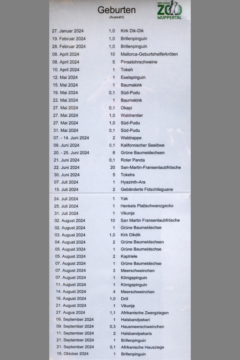 Aushang 'Geburten' am 24. Oktober 2024 in einem Schaukasten in der Nähe des Zoo-Eingangs im Grünen Zoo Wuppertal