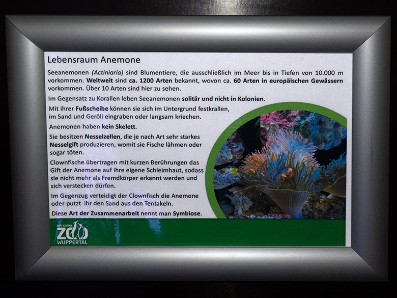 Ausschilderung Lebensraum Anemone am 30. Oktober 2024 im Aquarium im Zoologischen Garten Wuppertal