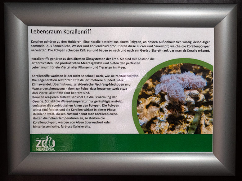 Ausschilderung Lebensraum Korallenriff am 30. Oktober 2024 im Aquarium im Wuppertaler Zoo