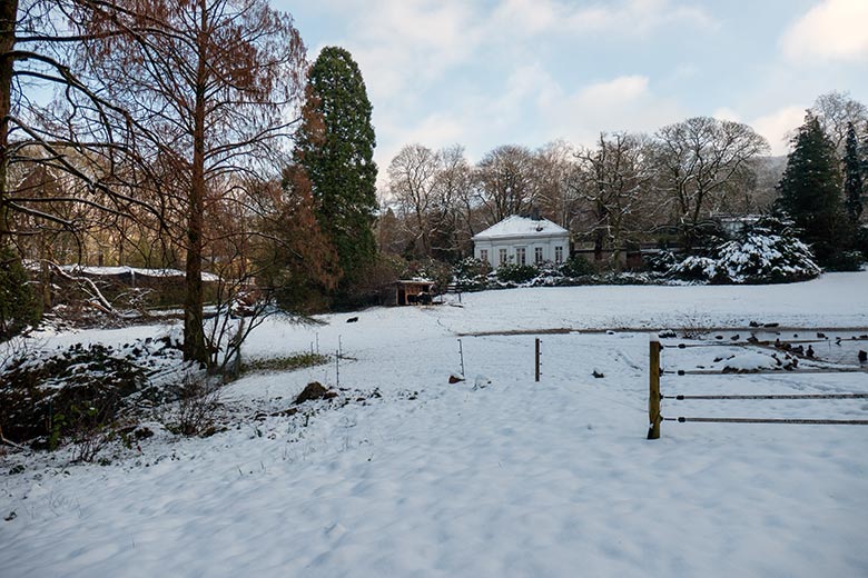 Die verschneite Haus-Yak-Anlage am 10. Januar 2025 im Grünen Zoo Wuppertal