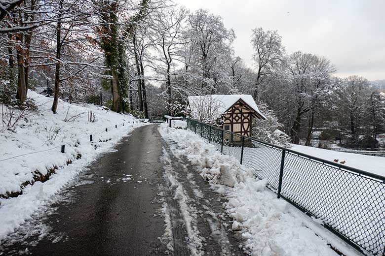 Von Schnee geräumter Besucher-Weg am 10. Januar 2025 oberhalb der verschneiten Patagonien-Anlage im Zoologischen Garten der Stadt Wuppertal