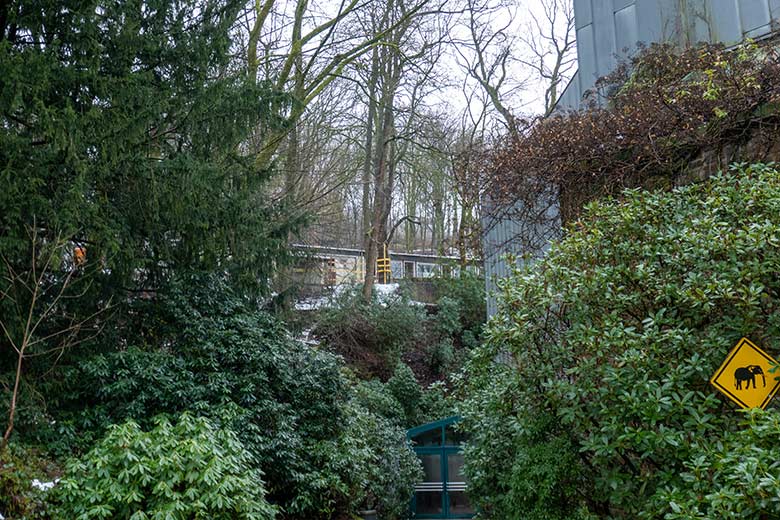 Blick vom Besucher-Weg vor dem Elefanten-Haus auf die Gebäude des ehemaligen Max-Planck-Institut am 16. Januar 2025 im Grünen Zoo Wuppertal