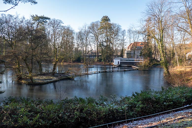 Mit einer dünnen Eis-Schicht bedeckter großer Teich am 19. Januar 2025 im Grünen Zoo Wuppertal