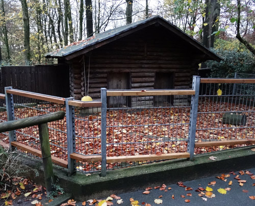 Anlage Nr. 30 (früher Anlage der Hängebauchschweine) am 7. November 2015 im Zoologischen Garten der Stadt Wuppertal