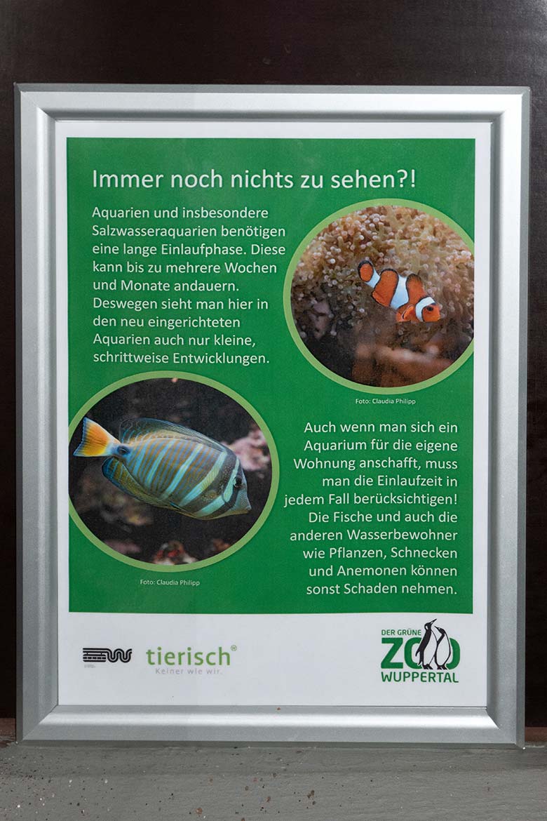 Aushang "Immer noch nichts zu sehen?!" am 4. März 2024 im Aquarium im Wuppertaler Zoo