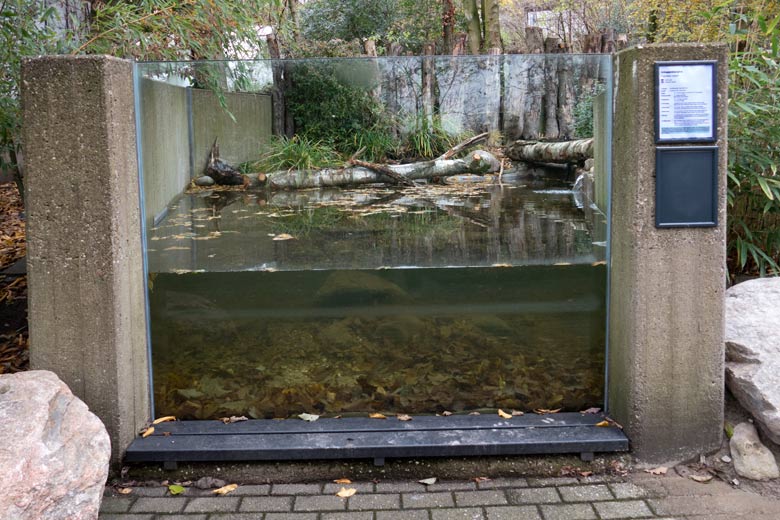 Außenanlage für Schuppenkarpfen am 4. Dezember 2022 auf dem Areal der ehemaligen Anlage für Europäische Biber im Grünen Zoo Wuppertal