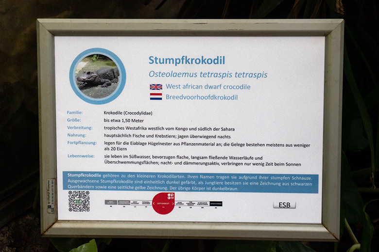 Neue Ausschilderung für die Tierart Stumpfkrokodil am 8. Februar 2023 im Terrarium im Grünen Zoo Wuppertal