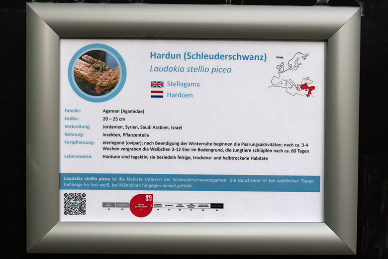 Neues Schild für die Tierart Hardun am 11. Januar 2023 im Terrarium im Zoo Wuppertal