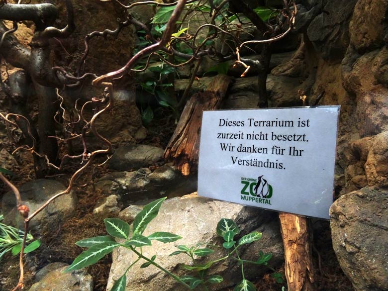 Information zum nicht besetzten Terrarium am 26. Mai 2016 im Grünen Zoo Wuppertal