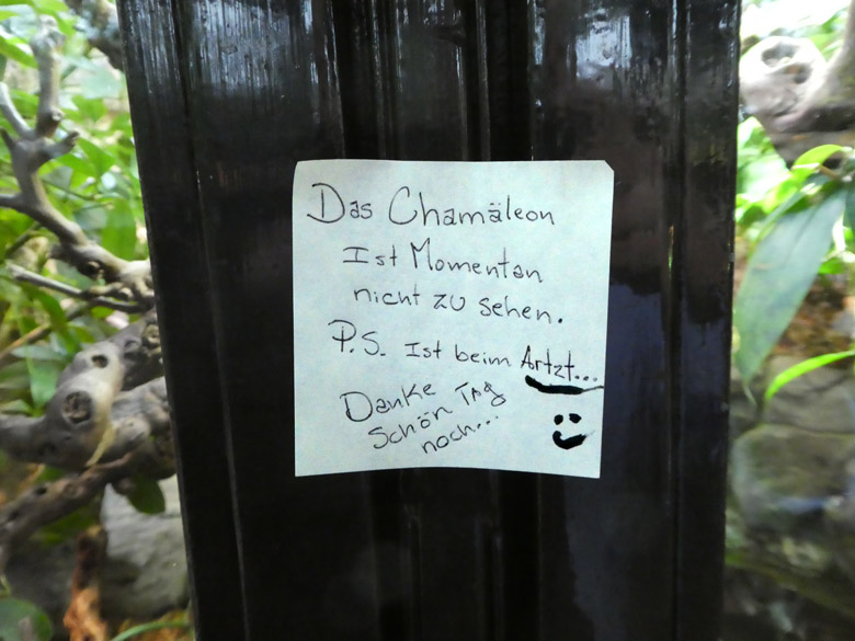 Zettel am 30. April 2018 am Gehege des Pantherchamäleons im Terrarium im Zoologischen Garten der Stadt Wuppertal