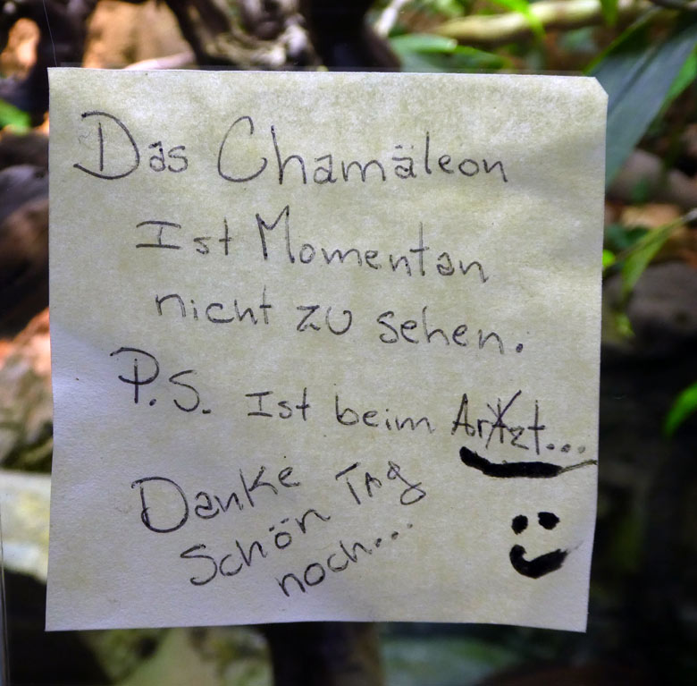 Zettel am 1. Mai 2018 am Gehege des Pantherchamäleons im Terrarium im Wuppertaler Zoo