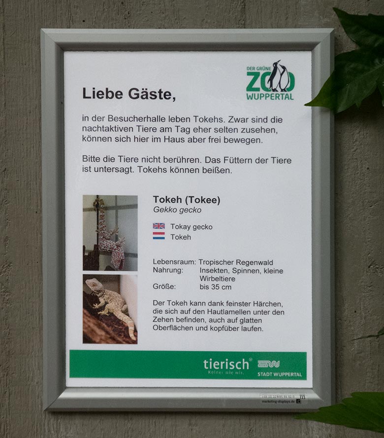 Ausschilderung der Tierart Tokeh am 29. Juni 2019 im Affenhaus im Grünen Zoo Wuppertal