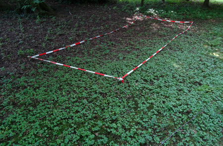 Markiertes Areal für die geplante Sprunganlage bei den Östlichen Grauen Riesenkängurus am 22. August 2015 im Wuppertaler Zoo