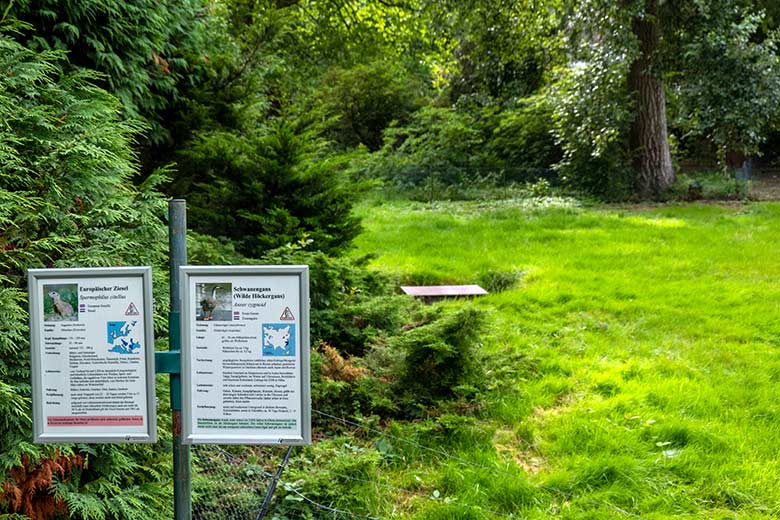 Anlage für Europäische Ziesel am 8. August 2021 im Grünen Zoo Wuppertal