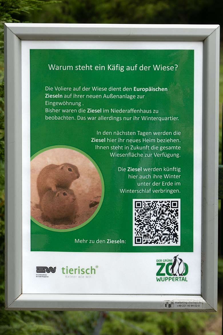 Aushang zum Drahtkäfig für die Europäischen Ziesel am 4. Juni 2024 an der Wiese am Blumenrondell im Wuppertaler Zoo
