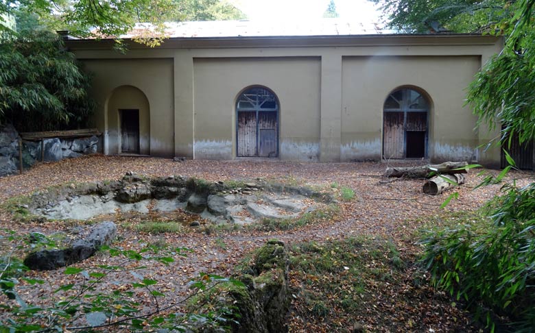 Zwergmara am 11. September 2016 auf der Außenanlage im Grünen Zoo Wuppertal